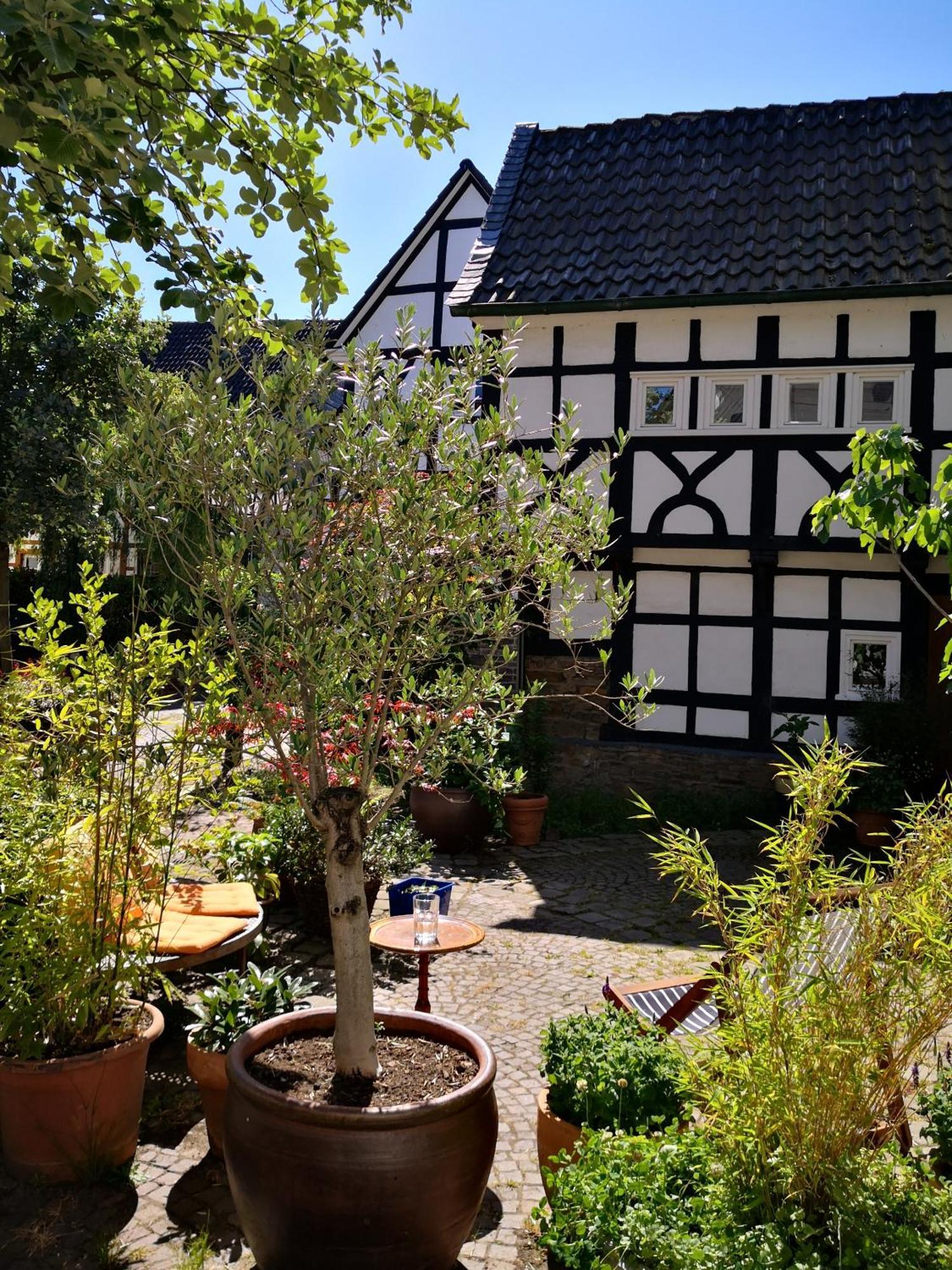 Готель Fuenf Giebel Eck In Der Freiheit Am Ruhrtalradweg Веттер Екстер'єр фото